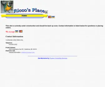 Riccosplace.com(Ricco's Place LLC) Screenshot