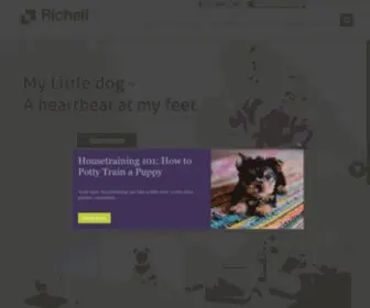 Richellusa.com Screenshot