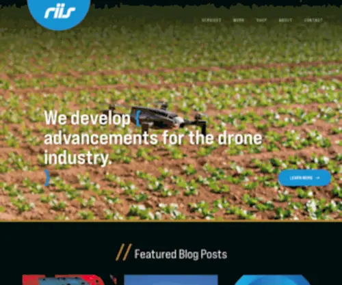 Riis.com(Troy, MI IT Firm) Screenshot