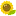 Rikonweb.com Favicon