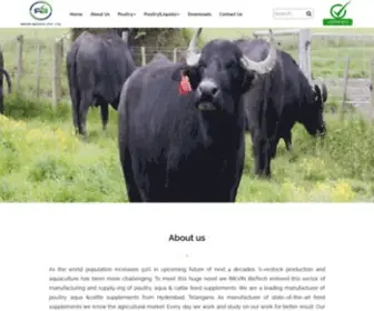 Rikvinbiotech.com(Poultry feed) Screenshot