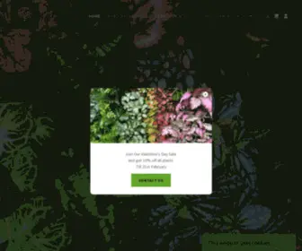 Ringwoodplants.com.au(Ringwood Plants) Screenshot