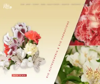 Rioroses.com(Rio Roses) Screenshot