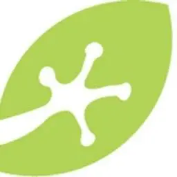 Riotico.com Logo