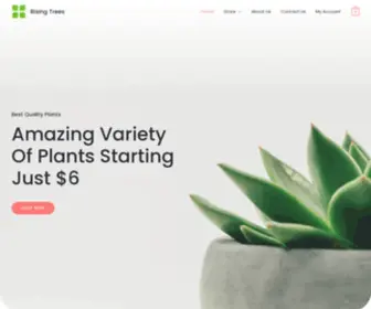 Risingtrees.com(Rising Trees) Screenshot