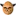 Riskheads.org Favicon