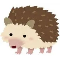 Riskhedgehog.com Logo