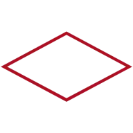 Ritzusa.com Favicon