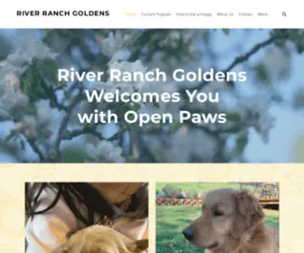 Riverranchgoldens.com(River Ranch Goldens) Screenshot