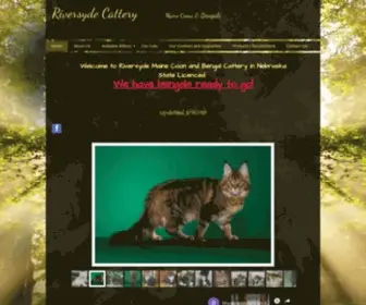 Riversydecattery.com(Riversyde Cattery) Screenshot