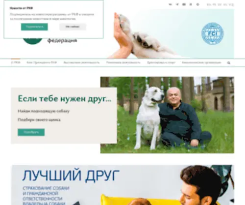 RKF.org.ru(РКФ) Screenshot