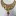 Rkmoh.com Favicon