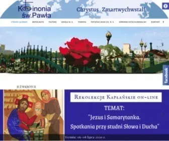 Rmissio.pl(Redemptoris Missio) Screenshot