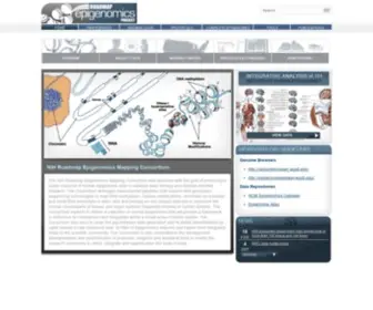 Roadmapepigenomics.org(Roadmap Epigenomics Project) Screenshot