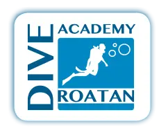Roatandiveacademy.com Logo