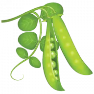 Robertryancatering.com Favicon