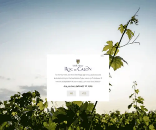 RoCDecalon.com(Les Vins de Château Roc de Calon) Screenshot