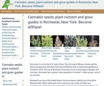 Rochestercannabis.ga(Cannabis seeds) Screenshot