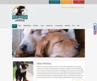 Rockymountainlabrescue.com(Rocky Mountain Lab Rescue) Screenshot