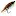 Rodgersfishingtackle.com Favicon