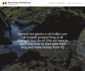 Romanian.marketing(The Niche Site Experts) Screenshot