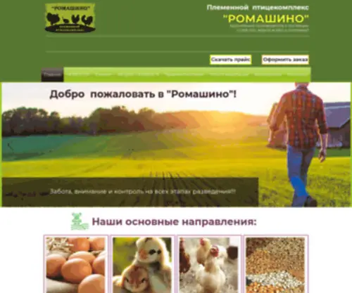 Romashino.ru(Племенной Птицекомплекс "Ромашино") Screenshot