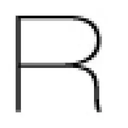 Ronizongor.com Logo