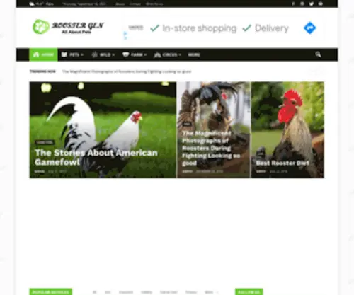 Roostergen.com(Interesting Information About Pets (Rooster) behavior) Screenshot