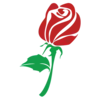 Rosebudcasino.com Favicon