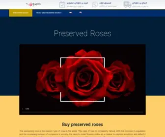 Rosedelivery.ir(رز جاودان ، خرید حضوری رز جاودان با ماندگاری 1 الی 3 سال) Screenshot