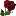 Rosegardenptr.com Favicon