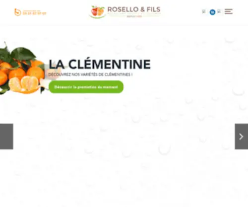 Rosello-Fils.fr(ROSELLO & FILS) Screenshot