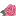 Rosepetalflorist.net Favicon