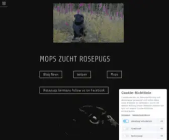 Rosepugs.de(Mops Zucht Rosepugs) Screenshot