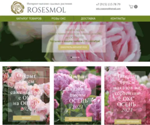 Rosesmol.com(Главная Саженцы роз) Screenshot