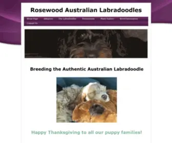 Rosewoodlabradoodles.com(Rosewood Labradoodles) Screenshot