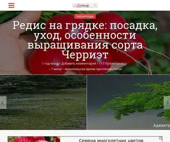 Rostok.info(Главная) Screenshot