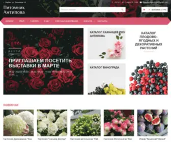 Rosy.com.ua(Питомник и интернет) Screenshot