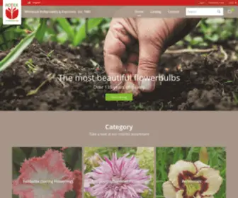 Rotex-Flowerbulbs.com(Rotex Flowerbulbs BV) Screenshot