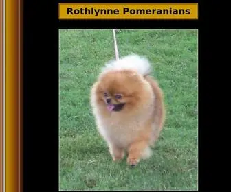 Rothlynnepomeranians.com(Rothlynne Pomeranians) Screenshot