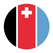 Rotzinger.ch Logo