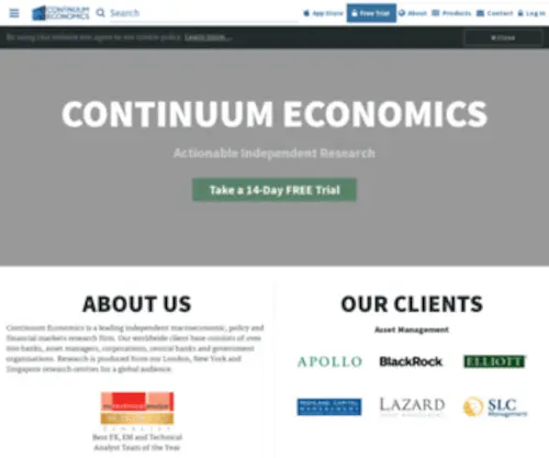 Roubini.com(Roubini Global Economics) Screenshot