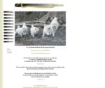 Roughdiamond-Samoyeds.com Screenshot