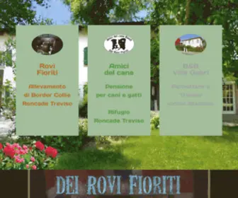 Rovifioriti.com(Allevamento e addestramento Border Collie a Roncade Treviso) Screenshot