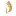 Royaad.com Favicon