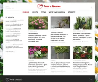 Roza-I-Fialka.ru(Комнатные) Screenshot