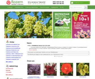 Rozem.com.ua(Частный питомник саженцев Роз) Screenshot