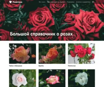 Rozoteka.ru(Розотека) Screenshot
