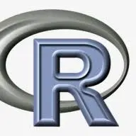 Rprogramminghelp.xyz Logo