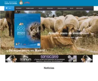 Rsce.es(Real Sociedad Canina de España) Screenshot